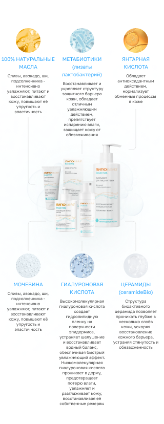 ЛИПОБЕЙЗ Биоактив | Основные активные ингредиенты | mobile
